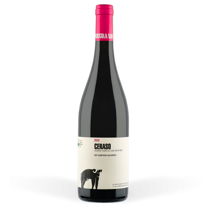 Ceraso Aglianico Paestum IGP Cantina San Salvatore
