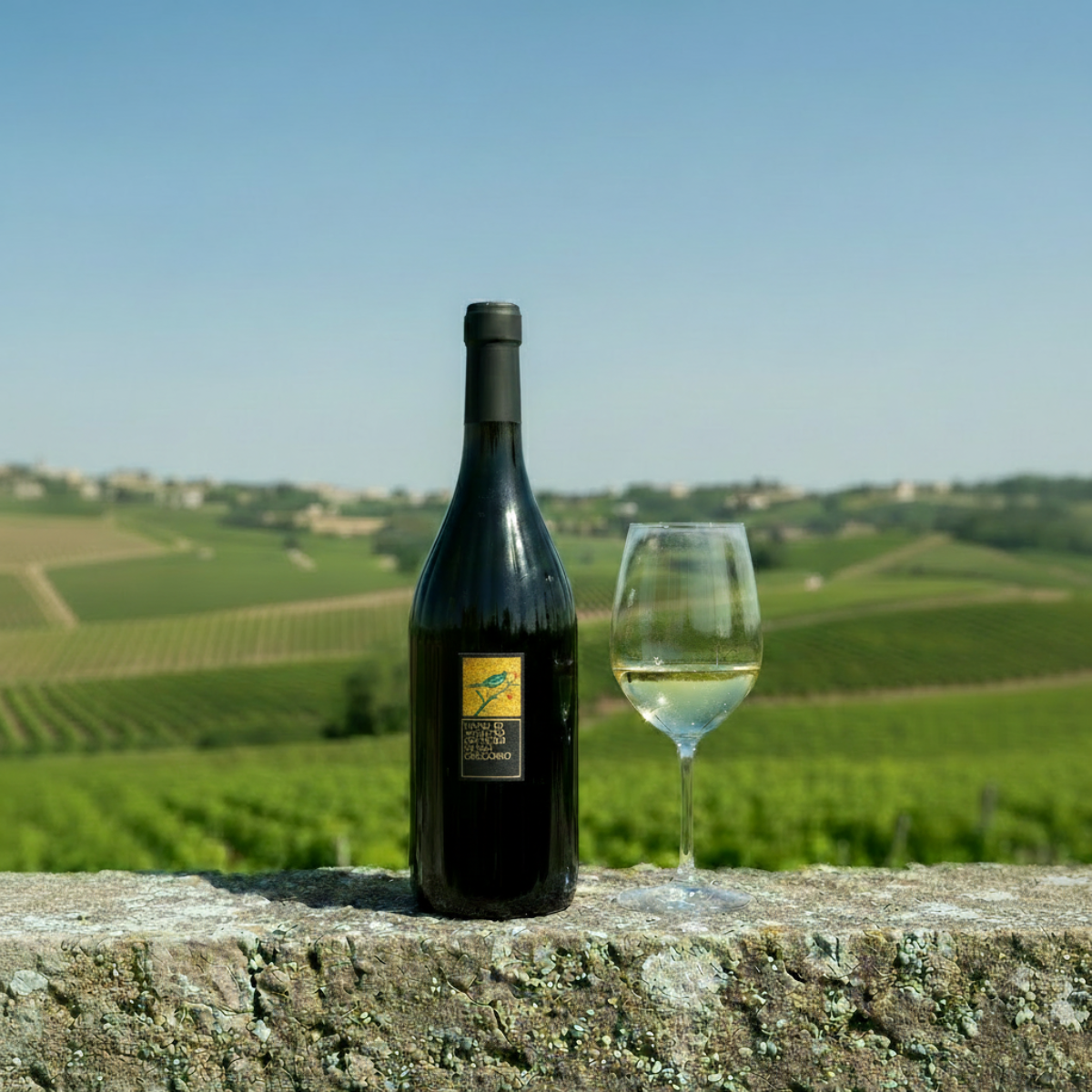 Fiano di Avellino DOCG Pietracalda – Feudi di San Gregorio