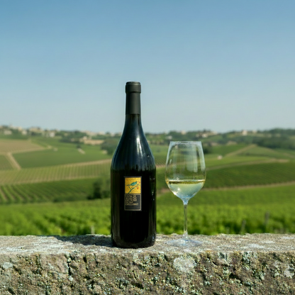 Fiano di Avellino DOCG Pietracalda – Feudi di San Gregorio