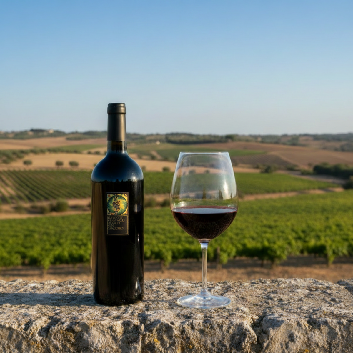 Rubrato Aglianico – Inquadratura lontana stile Primitivo